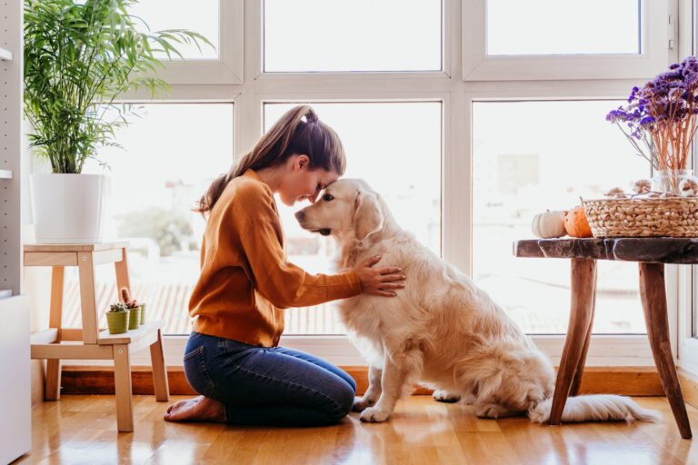 Hoe je je hond kunt laten wennen aan een halsband en riem