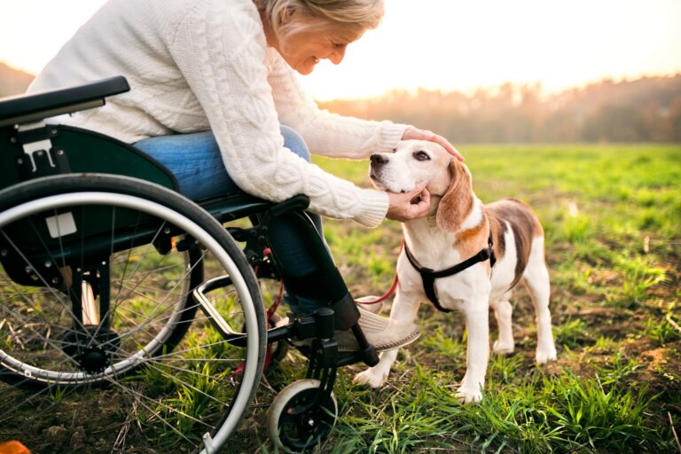 Hoe je je hond kunt laten wennen aan een nieuwe omgeving