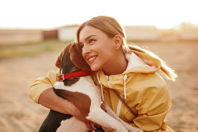 Hoe je je hond kunt trainen om trucjes te doen